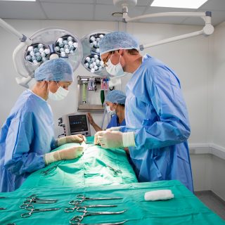 Fringilla risus nec, luctus mauris orci auctor purus euismod pretium puru.