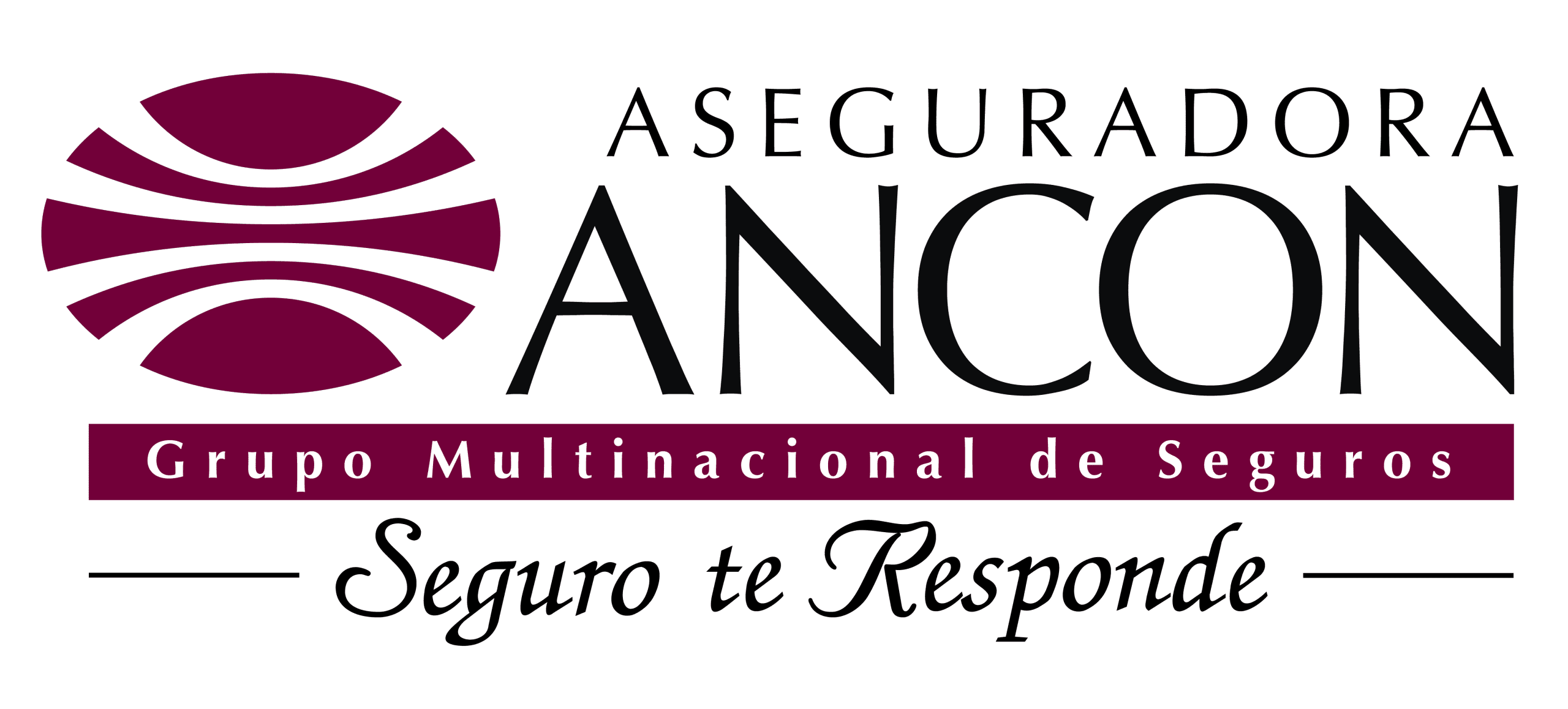 https://hospitalsanfernando.com/wp-content/uploads/2026/04/Logo-de-Aseguradora-Ancón-2026-scaled.png