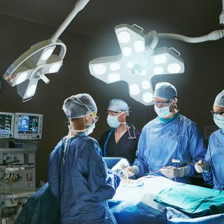 Fringilla risus nec, luctus mauris orci auctor purus euismod pretium puru.